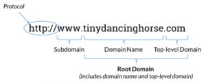 Domain Name