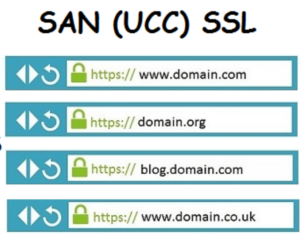 SSL certificate
