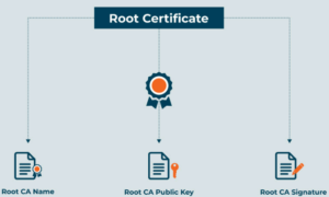 SSL certificate